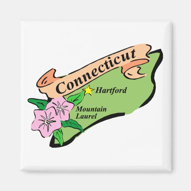 Colourful State of Connecticut Map Tees, Gifts Magnet (Front)
