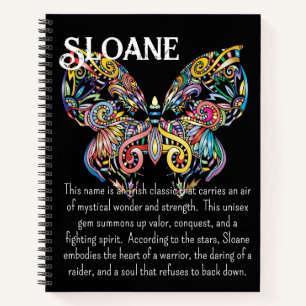 Colourful Steampunk Butterfly Journal