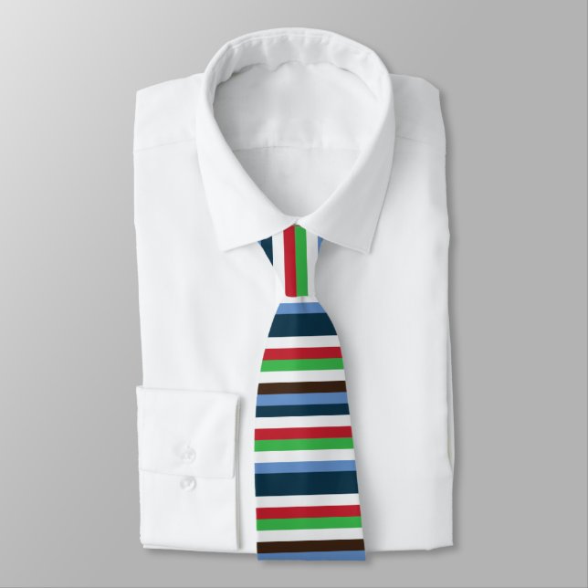 Colourful Stripes  Tie (Tied)