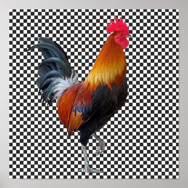 Colourful Strutting Rooster Poster (Front)