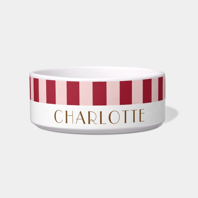 Colourful Stylish Bright Colour Minimalist Stripes Bowl (Front)