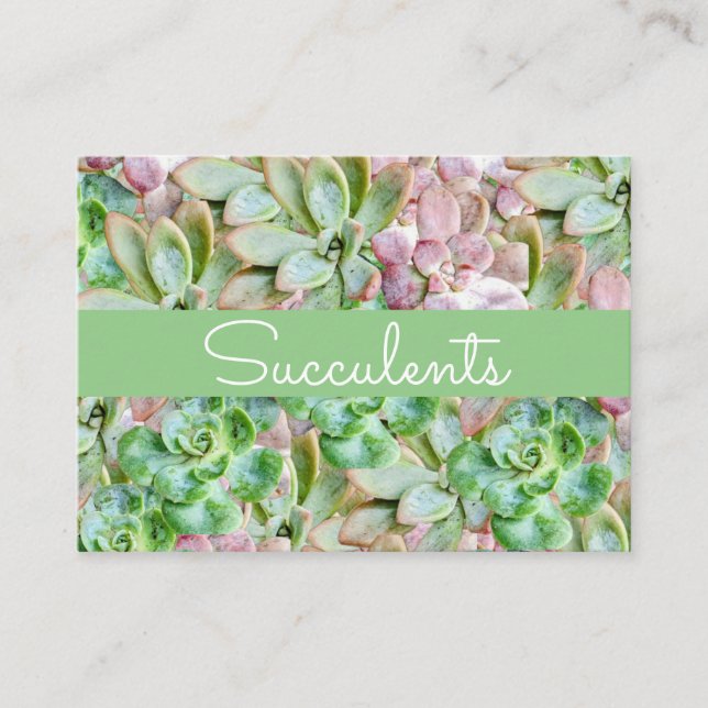 Colourful Succulent    Business Card (Front)