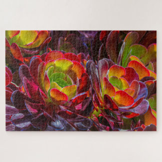 Colourful Succulent Flowers Jigsaw Puzzle