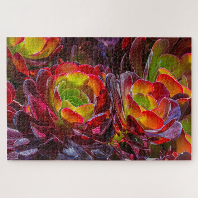 Colourful Succulent Flowers  Jigsaw Puzzle (Horizontal)
