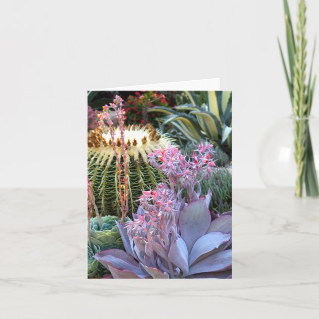 Colourful Succulent Garden Card (Front)