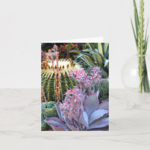 Colourful Succulent Garden Card