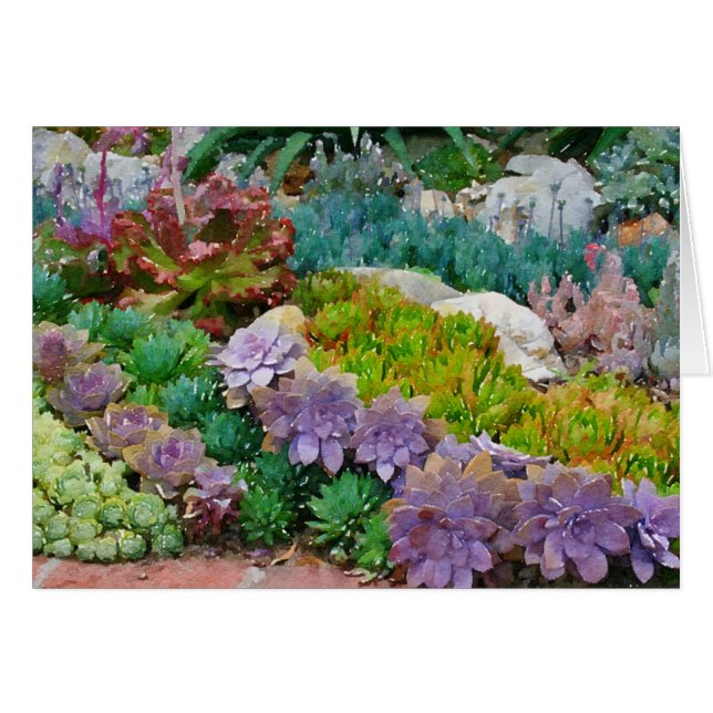 Colourful succulent garden greeting card (Front Horizontal)