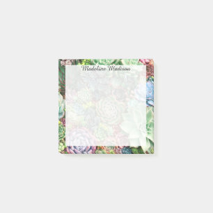 Colourful Succulent Garden Post-it Notes