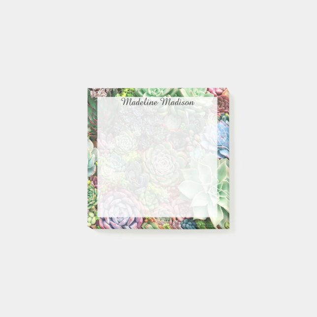 Colourful Succulent Garden Post-it Notes (Front)