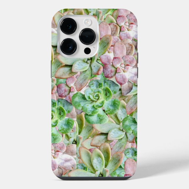 Colourful Succulent      iPhone Case (Back)