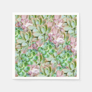 Colourful Succulent Napkin