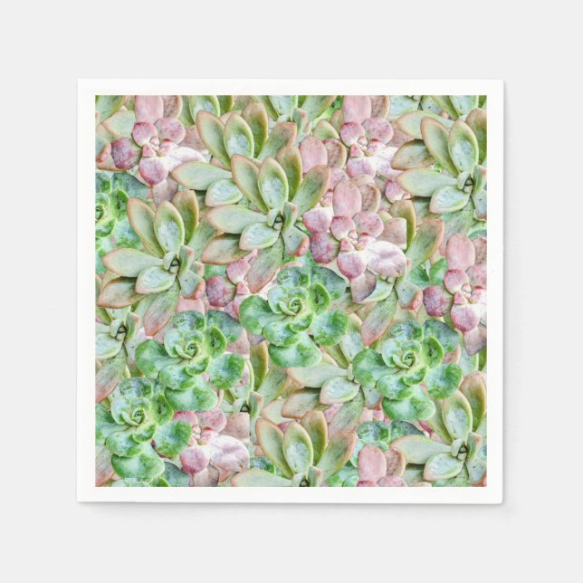 Colourful Succulent     Napkin (Front)