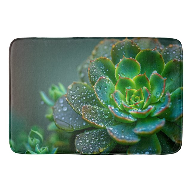 colourful succulents bath mat (Front)