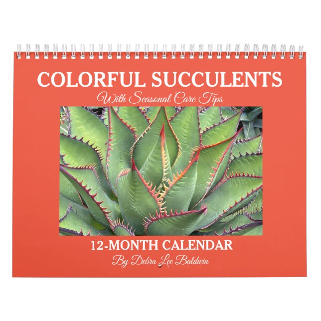 Colourful Succulents Calendar with Care Tips (Cover)