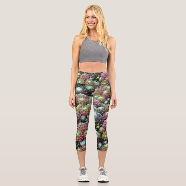 Colourful Succulents Capri Leggings (Front)