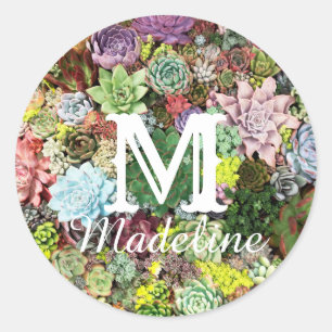 Colourful Succulents Classic Round Sticker