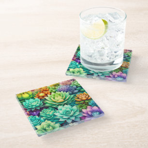 Colourful Succulents Collage Glass Coaster
