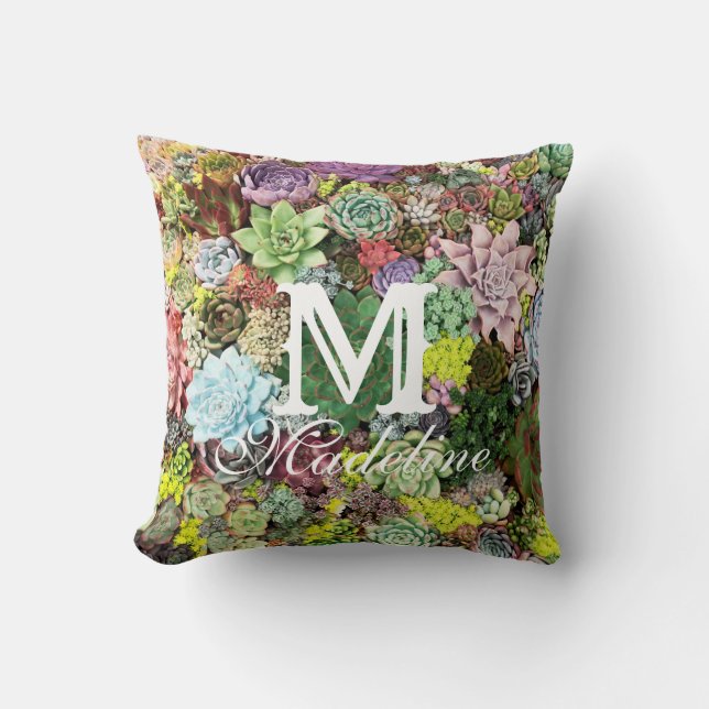 Colourful Succulents Cushion (Front)