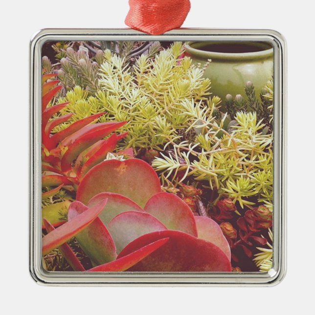Colourful Succulents Metal Tree Decoration (Front)