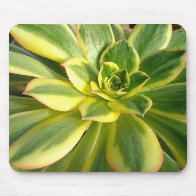 Colourful Succulents Mousepad #2 (Front)