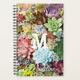 Colourful Succulents Planner
