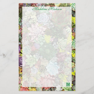 Colourful Succulents Stationery