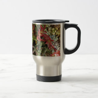 Colourful succulents travel mug