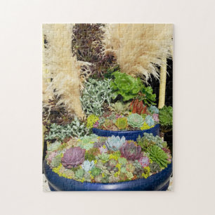 Colourful Succulents with Silver Grass Jigsaw Puzzle