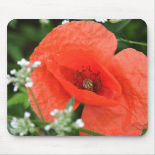 Colourful summer field poppy flower in green veget mouse mat