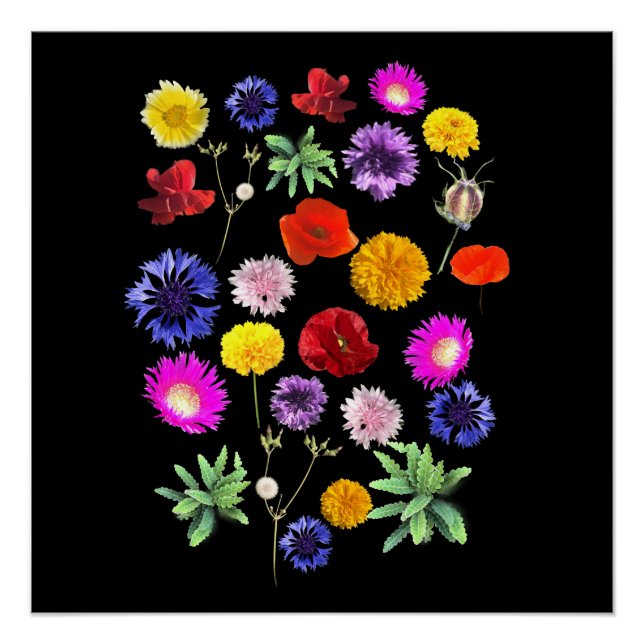 colourful summer flowers on black background poster (Front)