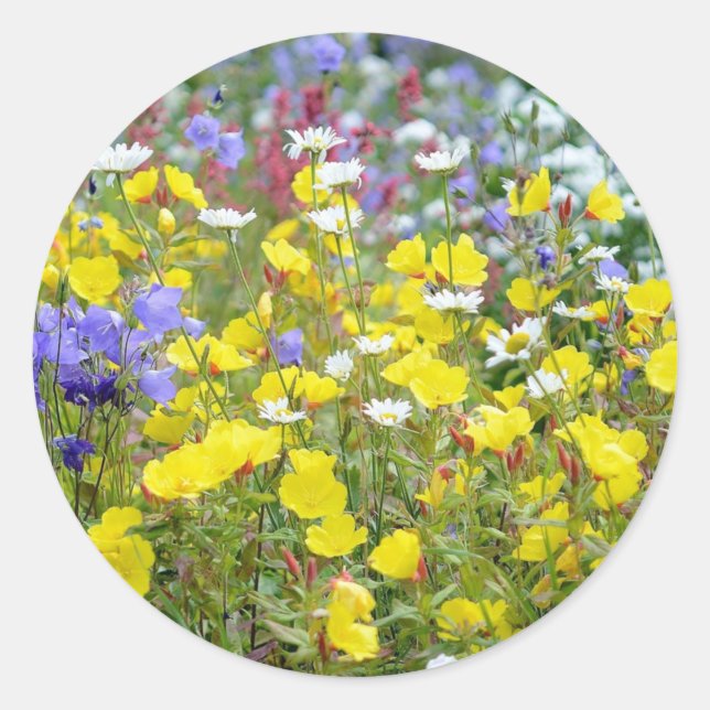 Colourful Summer Wildflowers Floral  Classic Round Sticker (Front)
