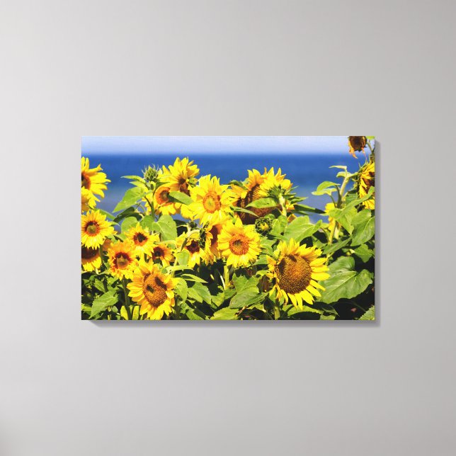 Colourful sunflower in bloom canvas print (Front)