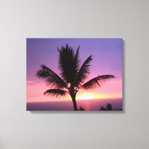 Colourful Sunset and Palm Tree Canvas Print