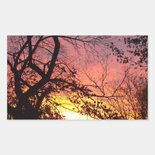 Colourful Sunset Through Bare Trees Rectangular Sticker