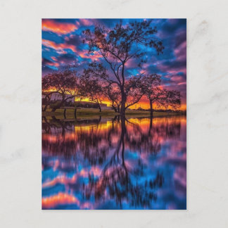 Colourful Sunsets Postcard