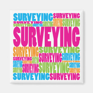Colourful Surveying Magnet