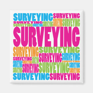 Colourful Surveying Magnet