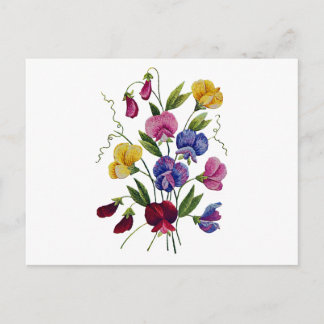 Colourful Sweet Peas Postcard