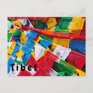 Colourful Tibetan prayer flags - Tibet Postcard