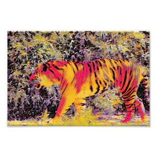 Colourful Tiger Photo Print