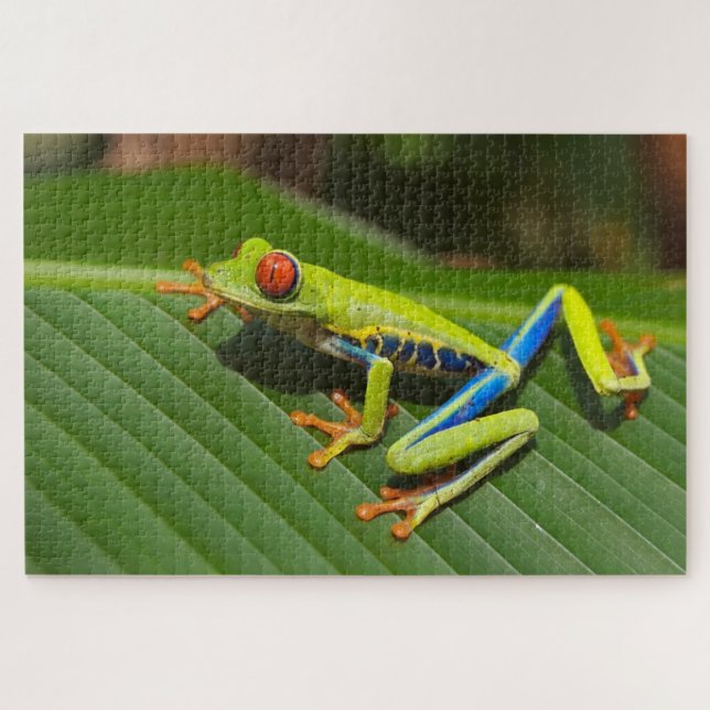 Colourful tiny frog jigsaw puzzle (Horizontal)