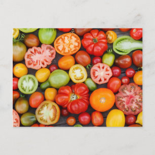 Colourful Tomatoes Postcard
