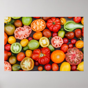 Colourful Tomatoes Poster