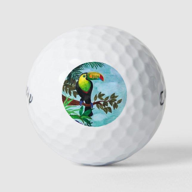 Colourful Toucan Tropical Rainforest Golf Balls (Front)