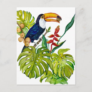 Colourful Toucan Watercolor Tropical Bird Postcard