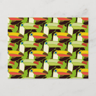 Colourful Toucans 2 Postcard
