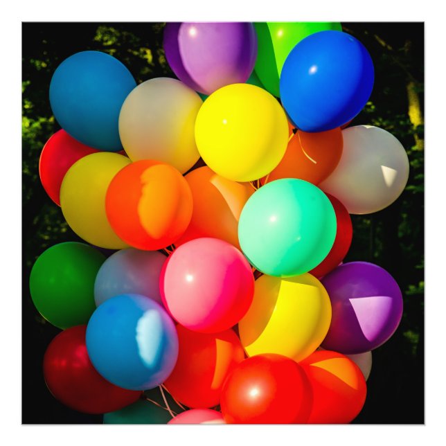 Colourful Toy Balloons Photo Print (Front)