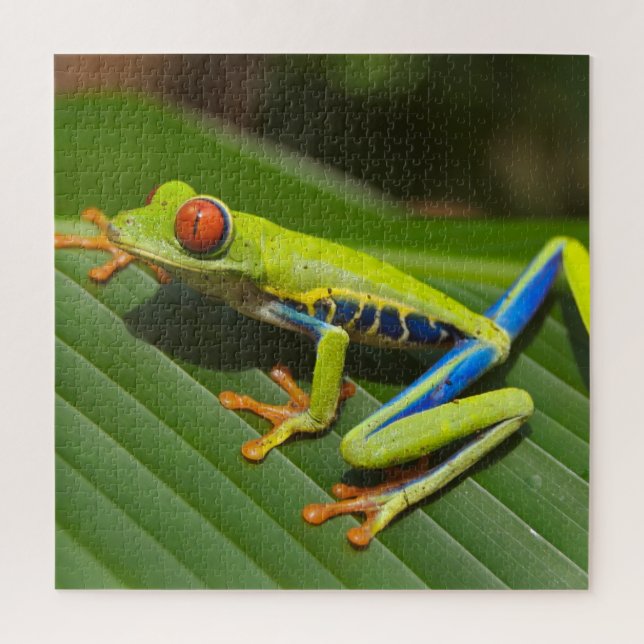 Colourful Tree Frog Jigsaw Puzzle (Vertical)