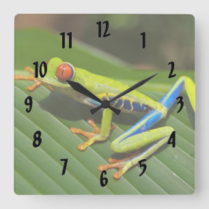 Colourful Tree Frog Square Wall Clock