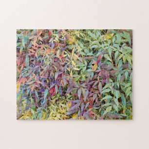 Colourful Tree Leaves Leaf Nature Puzzle